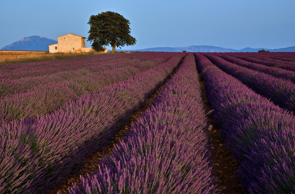 La Maison Des Collines Hotel Allemagne-en-Provence Esterno foto